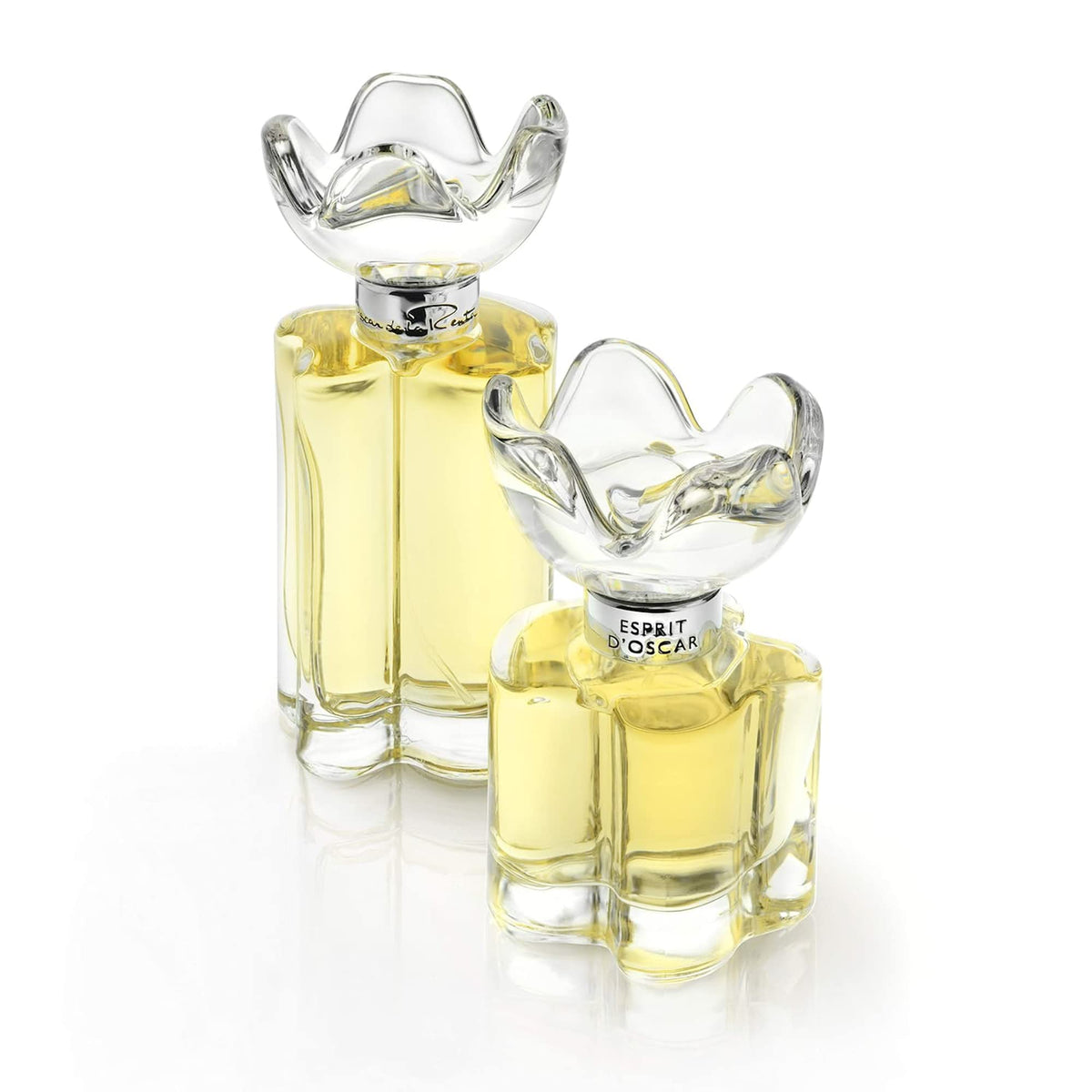 Eau de Parfum Perfume Spray 3.4 Fl. Oz. J287