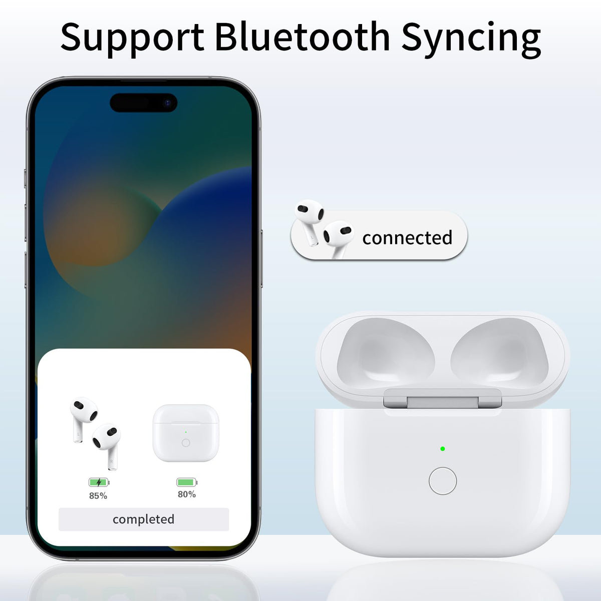 Replacement Charging Case with USB-C & Reset Button E191
