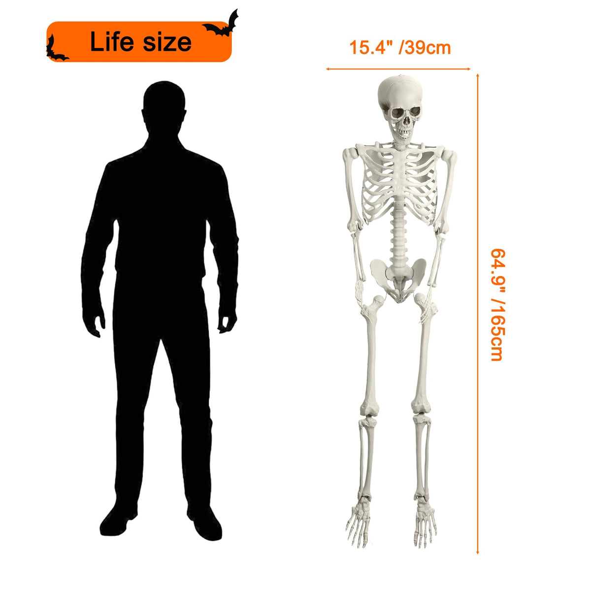 5.4ft Poseable Skeleton T81834