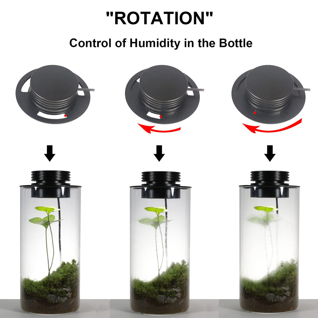 Glass Plant Terrarium with Grow Light U24555