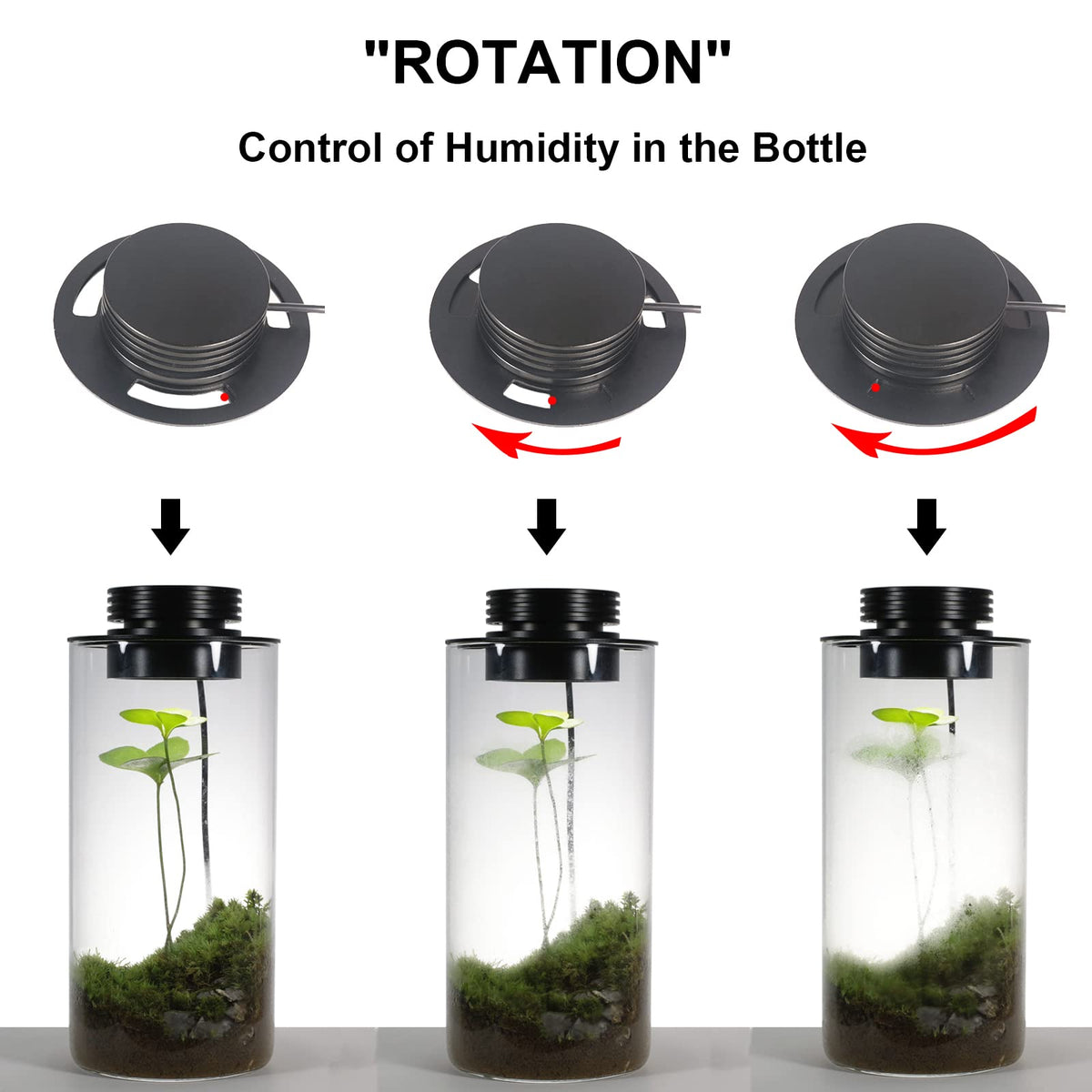 Glass Plant Terrarium with Grow Light U24555