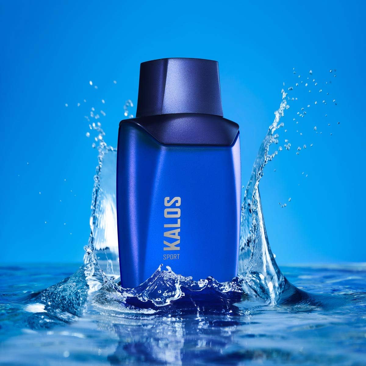 Perfume de Hombre 100 ml C6603