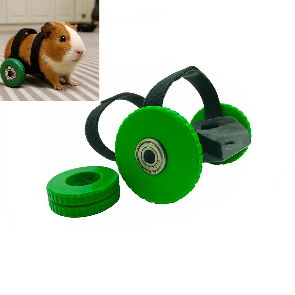 Guinea Pig Wheelchair with Adjustable Harness, 2 Wheel Sizes O754137