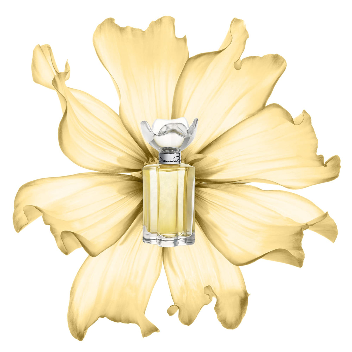 Eau de Parfum Perfume Spray 3.4 Fl. Oz. J287