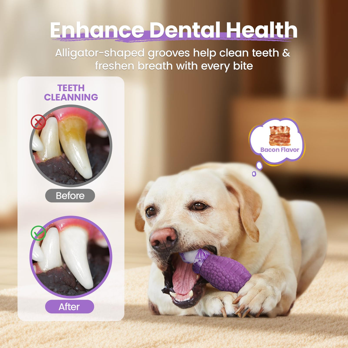 Tough Dog Toys for Aggressive Chewers W881900