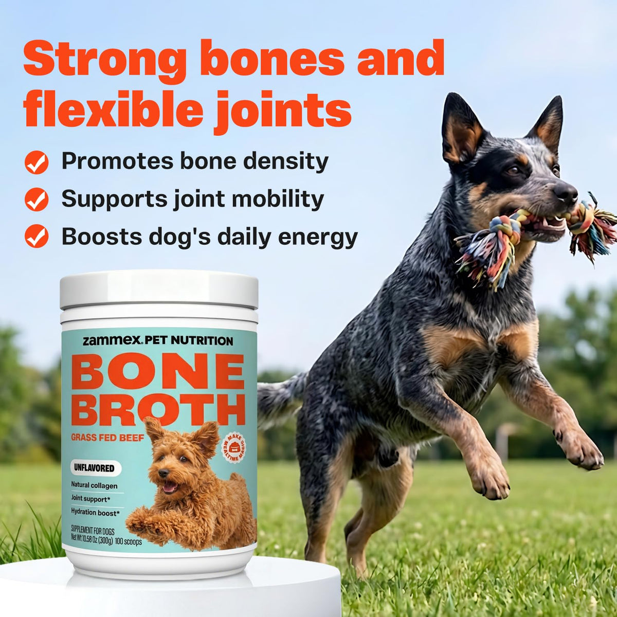 Bone Broth for Dogs I378920