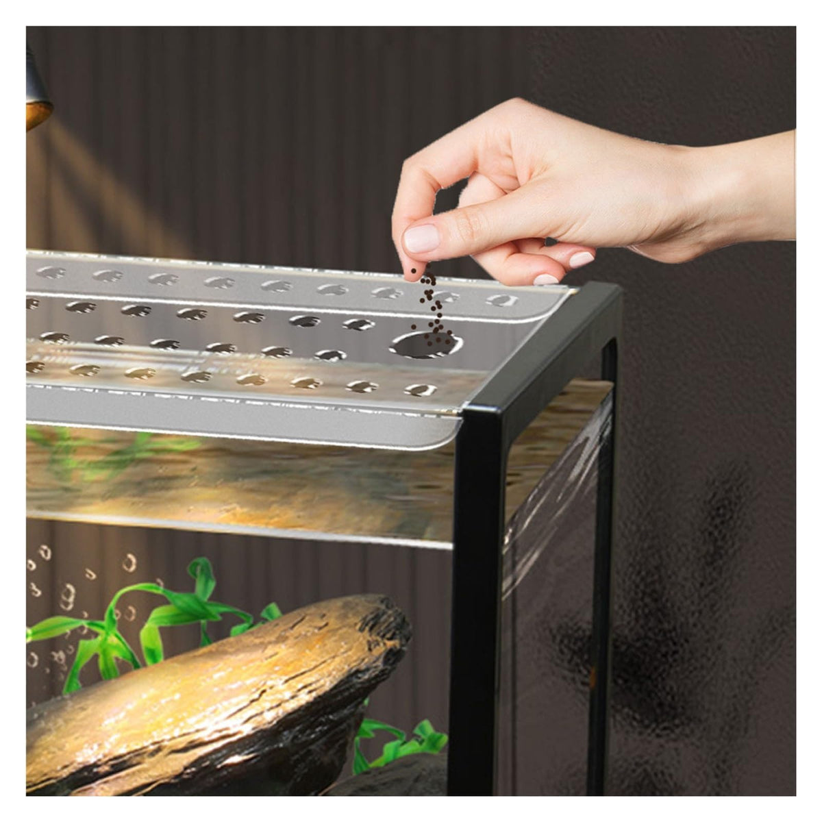 Ventilated Fish Tank Lid for 10-20 Gallon Aquariums T398