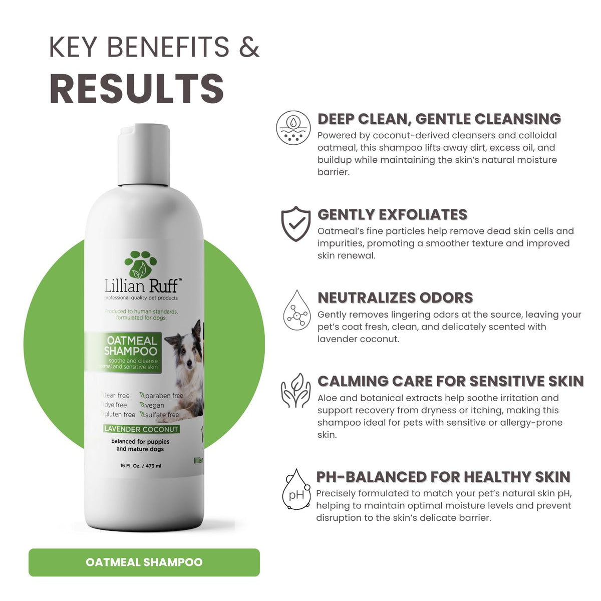 Oatmeal Dog Shampoo 16oz I814649