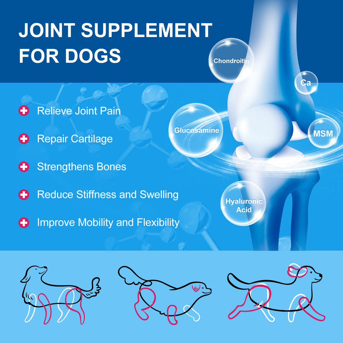 Dog Vitamins Powder N60288