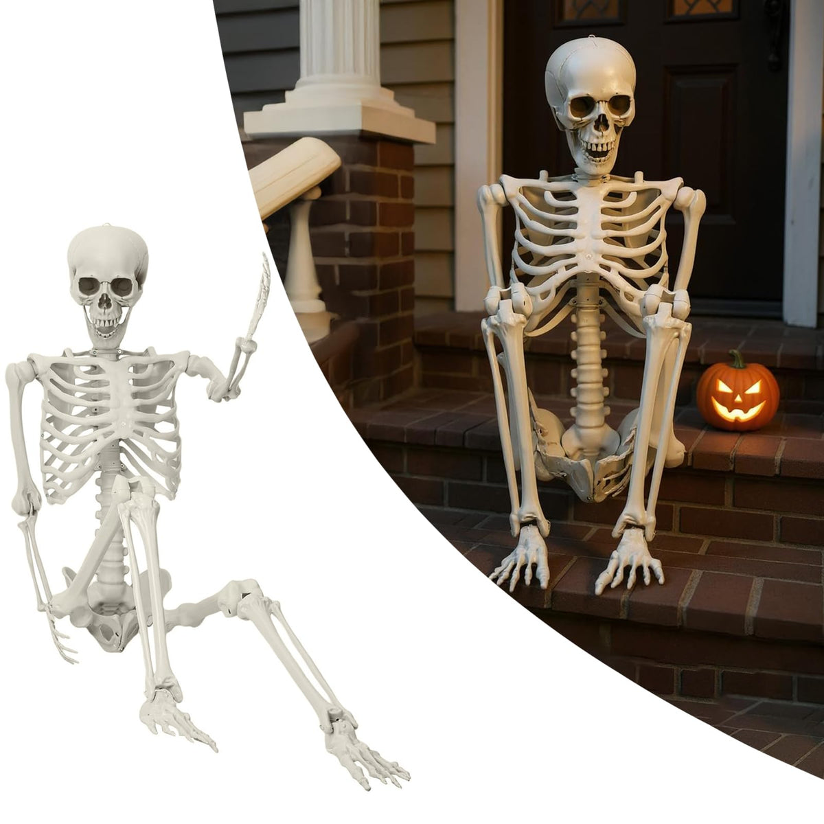 5.4ft Poseable Skeleton T81834