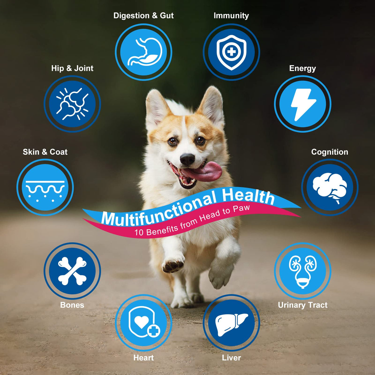 Dog Vitamins Powder N60288