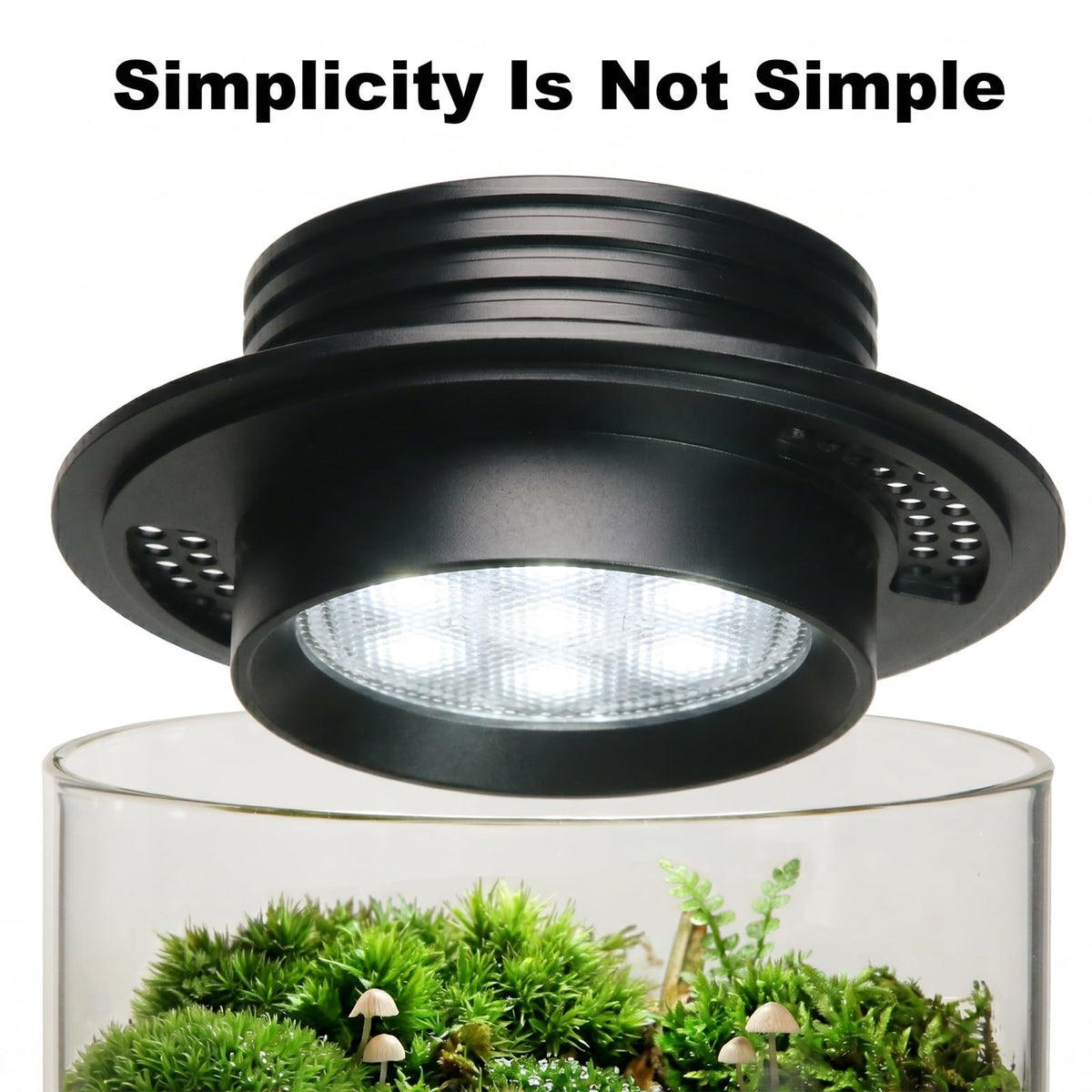 Glass Plant Terrarium with Grow Light U24555