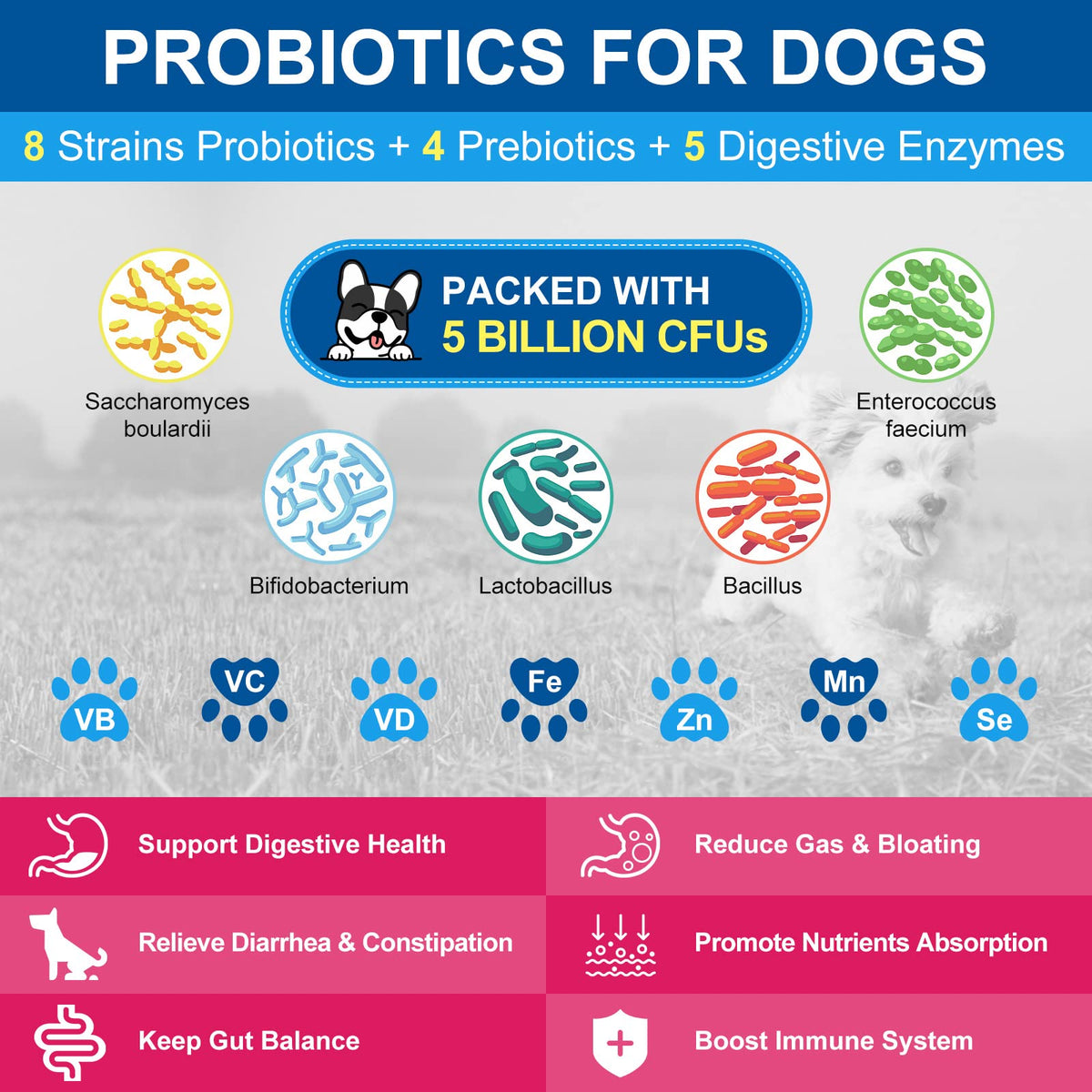 Dog Vitamins Powder N60288