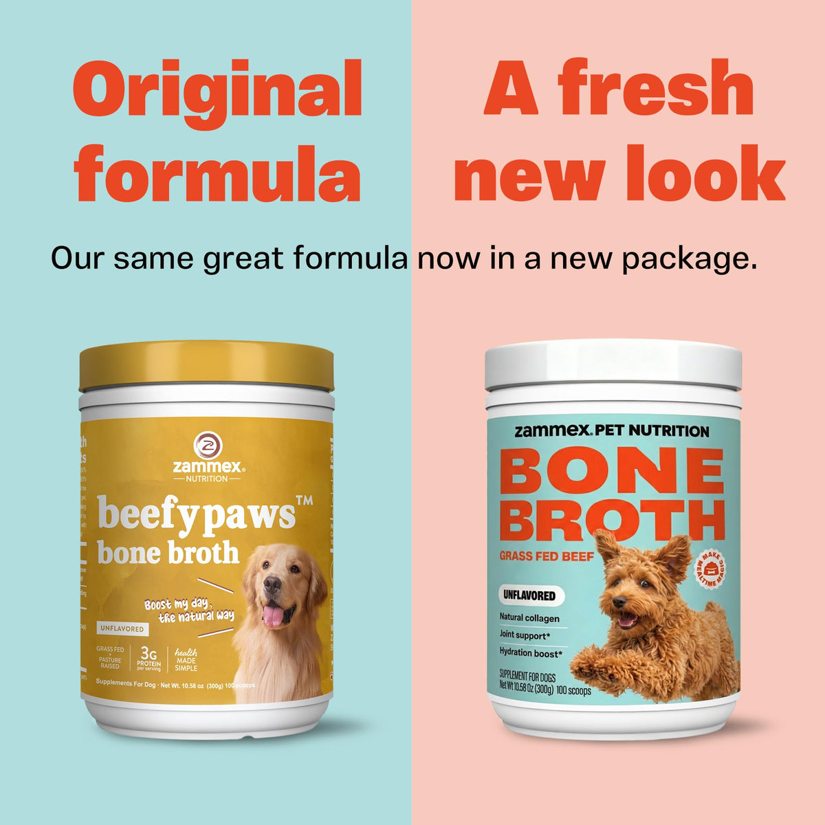 Bone Broth for Dogs I378920