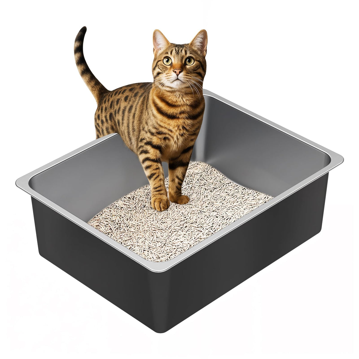 High Sided Stainless Steel Cat Litter Box Y79220