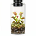 Glass Plant Terrarium with Grow Light U24555