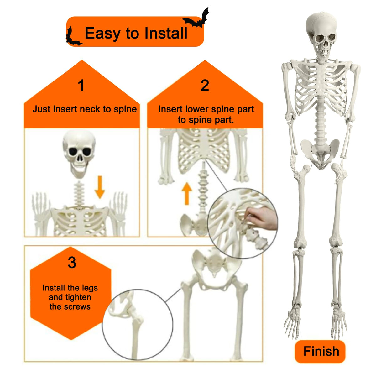5.4ft Poseable Skeleton T81834