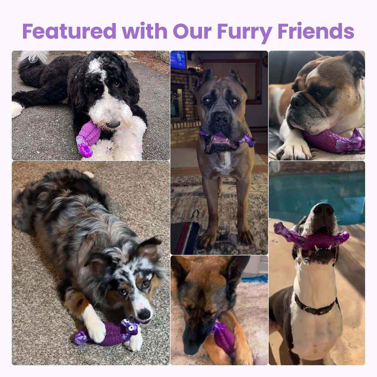 Tough Dog Toys for Aggressive Chewers W881900