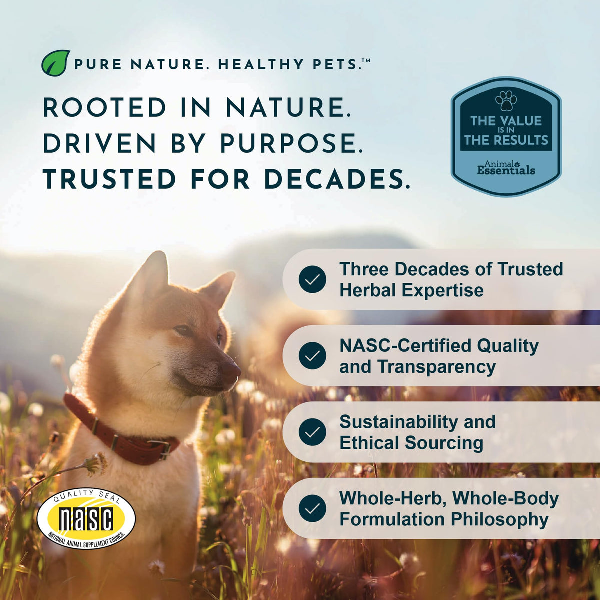 Hairball Relief Formula 2 fl Oz F702