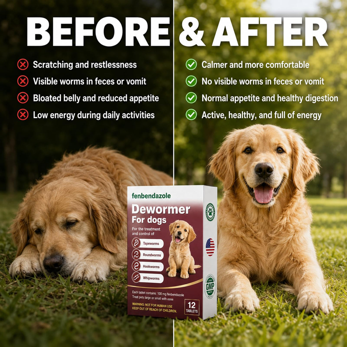 Dewormer for Dogs 12 Count I783825