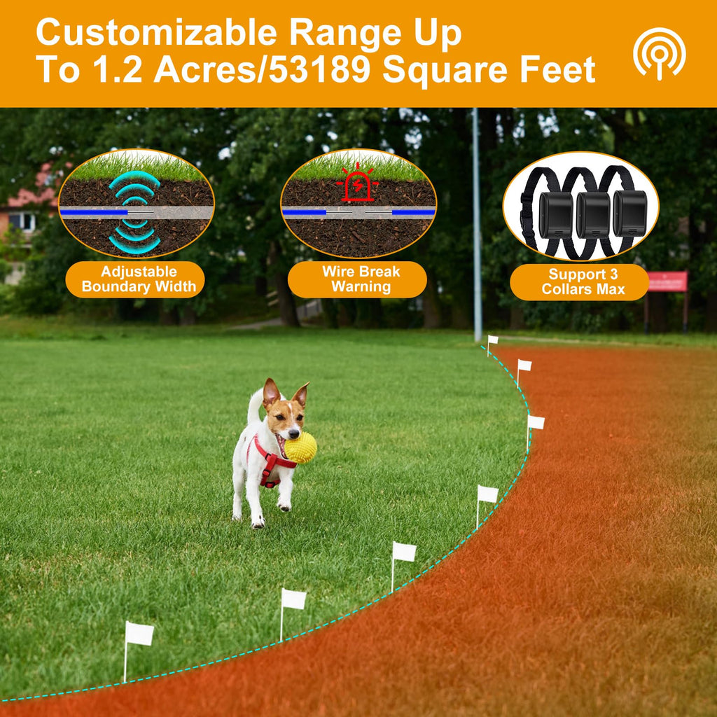 Electric Dog Fence System for 2 Dogs with 2 Waterproof Receiver Collars B3128