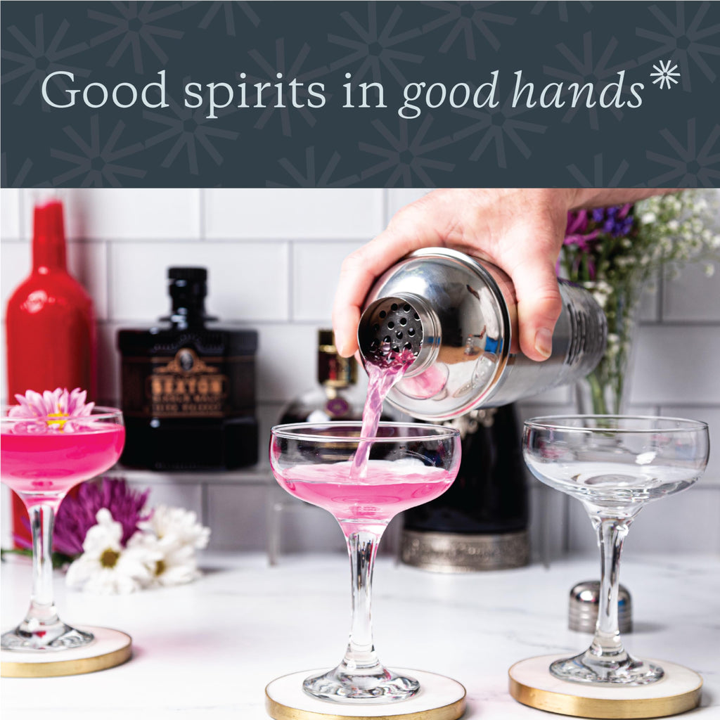 Martini Glass Set of 12, 8.5 Ounce Coupe Glasses with Stem W41634