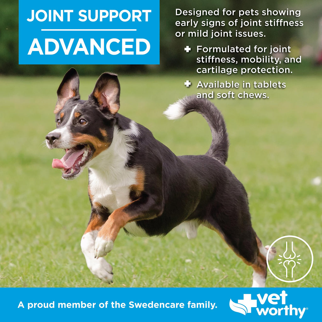 Joint Support Soft Chews for Dogs 60ct P5269