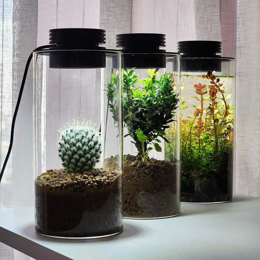 Glass Plant Terrarium with Grow Light U24555
