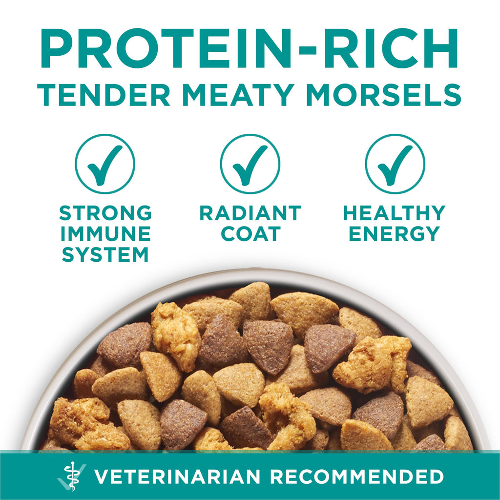 Chicken Dry Dog Food 31.1 lb Bag Q446369