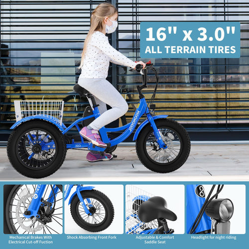16 Inch 250W 24V Blue Electric Tricycle N955018